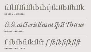 Hoefler Text Font Features Special Characters Hoefler Co Glyphs Ligature Text Fonts