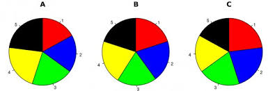 survey results reporting via pie charts or bar graphs