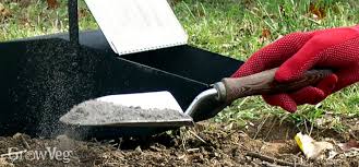 We did not find results for: Improve Your Soil Using Wood Ash