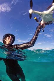Maybe you would like to learn more about one of these? Environmental Monitor Research And Education At The Hawaii Institute Of Marine Biology
