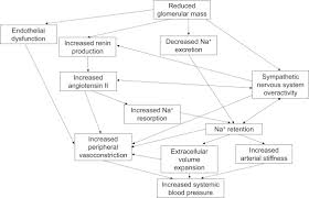 The causes of low blood pressure can range from dehydration to serious medical disorders. Hypertension In Ckd Core Curriculum 2019 American Journal Of Kidney Diseases