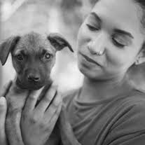 2025 fall Continuing Education catalog