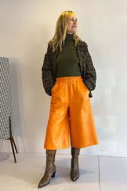 Image result for Apricot 1972 Hussmann