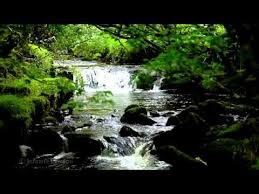 Relax Nature Sounds 8 Hours Waterfalls Bird Songs Sleep Relaxation Meditation And Study Youtube Nature Sounds Music For Studying Sleep Relaxation