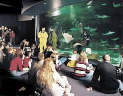 Group Tickets Ripley S Aquarium Of Myrtlebeach Ripley Aquarium Homeschool Field Trips Myrtle Beach