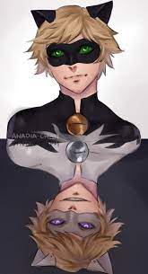 Starkness Chat Blanc X Reader Pt 2 The Hard Truth Miraculous Ladybug Movie Miraculous Ladybug Fanfiction Miraculous Ladybug Comic