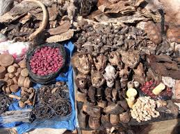 RÃ©sultat de recherche d'images pour "FRANCAIS QUI CONSULTE LE FA AU BENIN"