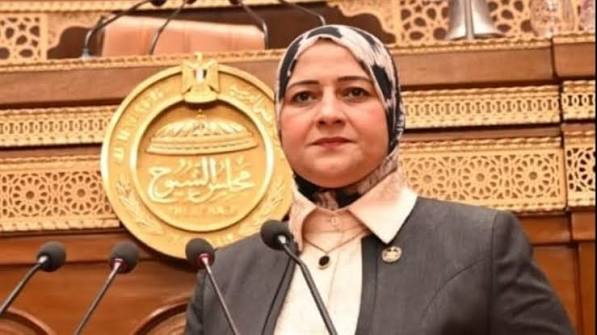 مروة قنصوه: البرلمان يدعم إجراءات الحكومة لرفع كفاءة أداء الهيئات الاقتصادية