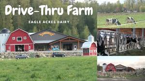 Majoitus valikoima dairy barn maamerkin lähellä vaihtelee suuresti ylellisisten hotellien ja. Safarmi Drive Thru Farm At Eagle Acres Dairy Farm Things To Do In Vancouver Youtube