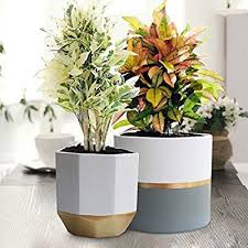Amazon Com White Ceramic Flower Pot Garden Planters 6 5 Pack 2 Indoor Plant Containers With Gold And Grey Ceramic Flower Pots Indoor Plant Pots Flower Pots