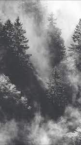 Maybe you would like to learn more about one of these? Black And White Forest Trees Woods Wallpaper Black And White Wall Art Forest Wallpaper Black Tree