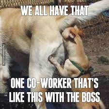 Looking At You Frank Album On Imgur