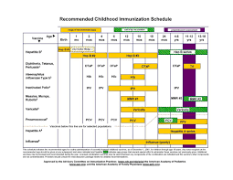 38 useful immunization vaccination schedules pdf