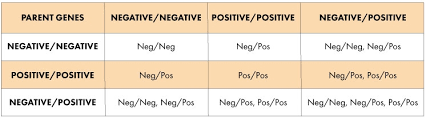 Expert Blood Group Chart Parent Child Baby Gender Prediction