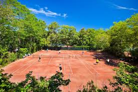 Public Tennis Courts Oliver S Red Clay Tennis Courts Wellfleet Ma If You Re Headed To Cape Cod Pack Your Racket T Public Tennis Courts Tennis Court Tennis