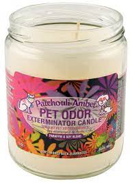 Maybe you would like to learn more about one of these? Pet Odor Exterminator Candle Patchouli Amber Walmart Com Walmart Com