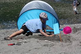 From seal to starfish to lost cat, sand sculptors have their day in sun