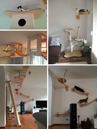 Climbing floor to ceiling cat tree with two condos. 3d Cat Furniture Set Modular Hangouts For Walls Ceilings Urbanist