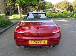 Image result for Hyacinth Red 2016 C