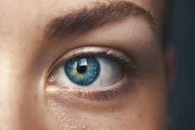 Cat Eye Syndrome Symptoms Causes And Treatment Boldsky Com