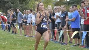 Image result for Erica simii