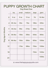 Puppy Development Stages With Growth Charts And Week Puppy