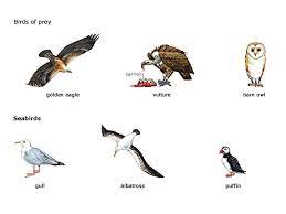 Learn English Is Fun Learning English Is Fun English Fun Oxford Picture Dictionary