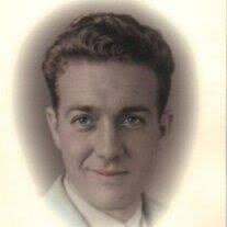 James W. Hammer Obituary