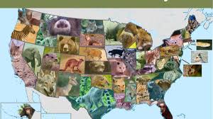 This exercise consists of a text about camels in which there are 8 gaps. This Exotic Pet Is Legal In Your State Pethelpful