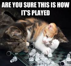 Image result for How are you meme