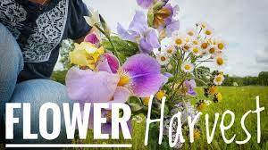 Maybe you would like to learn more about one of these? Flowers For Dreams Coupon Code 09 2021