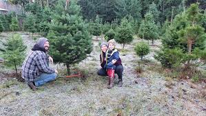We did not find results for: Lantzville U Cut Christmas Tree Farm Any Size Tree 35 Cash Or E Transfer