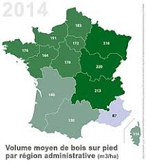 Elle est constituée d'un casier de forêt entouré de digues, d'une surface de 28 hectares, alimenté par le canal de la nieppe en période de crue. Foret En France Wikipedia