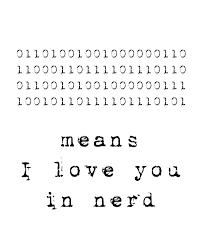 Means I Love You In Nerd Binary Code Computer By Duvdesigns Nerd Love Quotes Coding Quotes Nerd Love