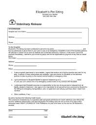 Pet Sitting Business Plan Template Luxury Pets Pet Sitting And Medical On Pinterest In 2020 Pet Sitting Business Pet Sitting Forms Dog Sitting Business
