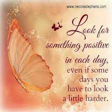 Look Harder Butterfly Quotes Life Quotes Inspirational Quotes