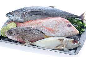 Kenali Aneka Ragam Ikan Laut Yang Ada Di Pasar Supaya Tidak Tertukar Semua Halaman Sajian Sedap