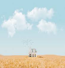 Backgrounds for r/surrealmemes or anything else!. 1 000 Best Surreal Photos 100 Free Download Pexels Stock Photos