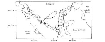 Check spelling or type a new query. Map Of The Straits Of Magellan With The Location Of The Sampling Download Scientific Diagram