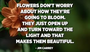 We did not find results for: Blooming Flowers Quotes Quotespedia Org