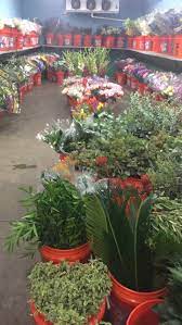 Charleston, sc 29407 or feral cat care of mt. Horst Wholesale Florist Home Facebook