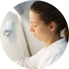 Voices: Insights from our PhD Students