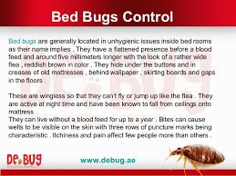 Ants control ,bed bugs control cockroach control ,flies control, rodents control, wasp control. Pest Control Services Abu Dhabi Uae Pest Heat Treatment