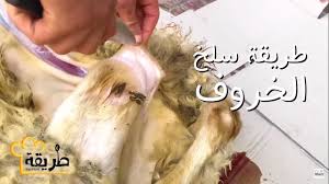 طريقة سلخ الخروف السوري وتقطيعه خطوة بخطوة Youtube