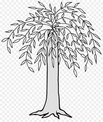 Maybe you would like to learn more about one of these? Black And White Flower Png Download 1181 1378 Free Transparent Weeping Willow Png Download Cleanpng Kisspng