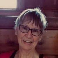 North Creek Pet Hospital