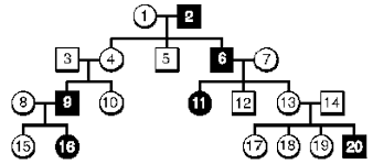 In a pedigree, a square represents a male. Http Pnhs Psd202 Org Documents Gbrest 1555425603 Pdf