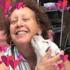 How to trap a semi-feral dog in Farmington with porcupine quills in its  mouth?