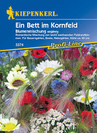 Ein bett im kornfeld (akkorde) strophe 1: Blumenmischung Ein Bett Im Kornfeld Blumensamenmischung Von Kiepenkerl Samenhaus Samen Samereien