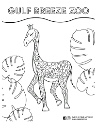 Instapainting lets you get your photo painted or drawn by a real artist. Gulf Breeze Zoo Coloring Pages